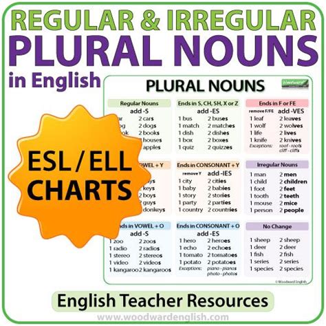 plural city english|Plural Nouns in English – Regular and Irregular.